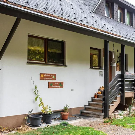 Am Schmiedebach Prázdninový dům Wittenschwand