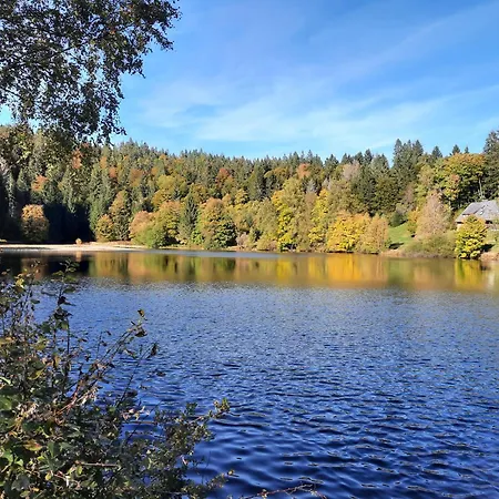 Am Schmiedebach Wittenschwand