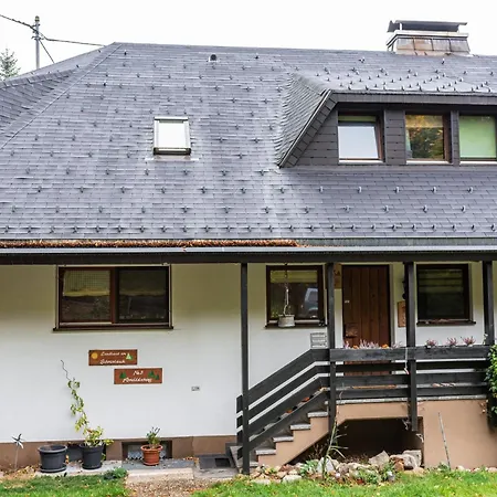 Am Schmiedebach Holiday home Wittenschwand